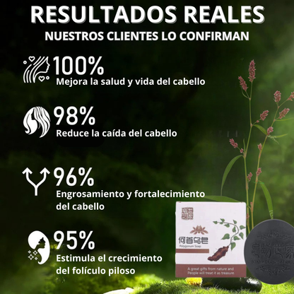 PROMO 2X1 SHAMPOO EN BARRA EXTRACTO DE POLYGONUM ORIGINAL REVIORA 🔥🔥