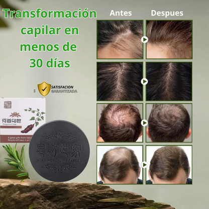 PROMO 2X1 SHAMPOO EN BARRA EXTRACTO DE POLYGONUM ORIGINAL REVIORA 🔥🔥