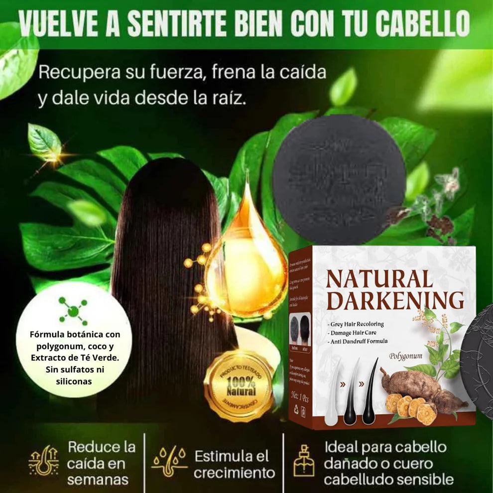 PROMO 2X1 SHAMPOO EN BARRA EXTRACTO DE POLYGONUM ORIGINAL REVIORA 🔥🔥