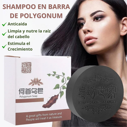 PROMO 2X1 SHAMPOO EN BARRA EXTRACTO DE POLYGONUM ORIGINAL REVIORA 🔥🔥